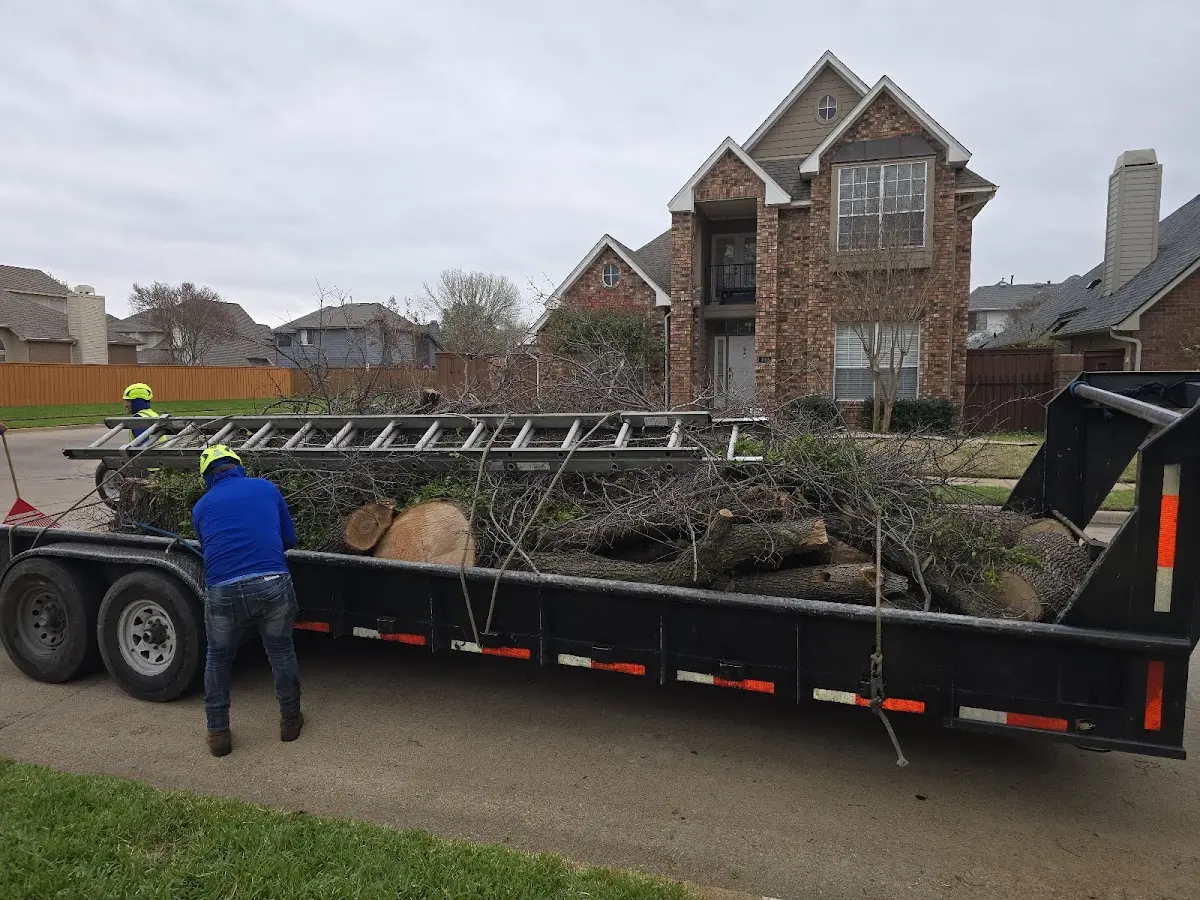 Expert Tree Removal with proper safety equipment in Artemas